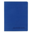 Премиум-дневник универсальный, для 1-11 класса Vivella, обложка искусственная кожа, синий - фото 8699552