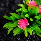 Растение искусственное аквариумное, 20 х 12 х 11 см, - фото 44728647