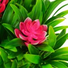 Растение искусственное аквариумное, 20 х 12 х 11 см, - фото 44728648