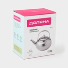 Заварочный чайник Доляна «Гретель», 1.1 л, металлическое сито, нержавеющая сталь, хромированный - Фото 9