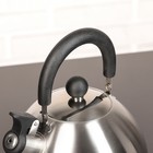 Чайник со свистком «Торенто. Блеск», 2 л, цвет серебряный - Фото 4