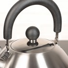 Чайник со свистком «Торенто. Блеск», 2 л, цвет серебряный - Фото 5