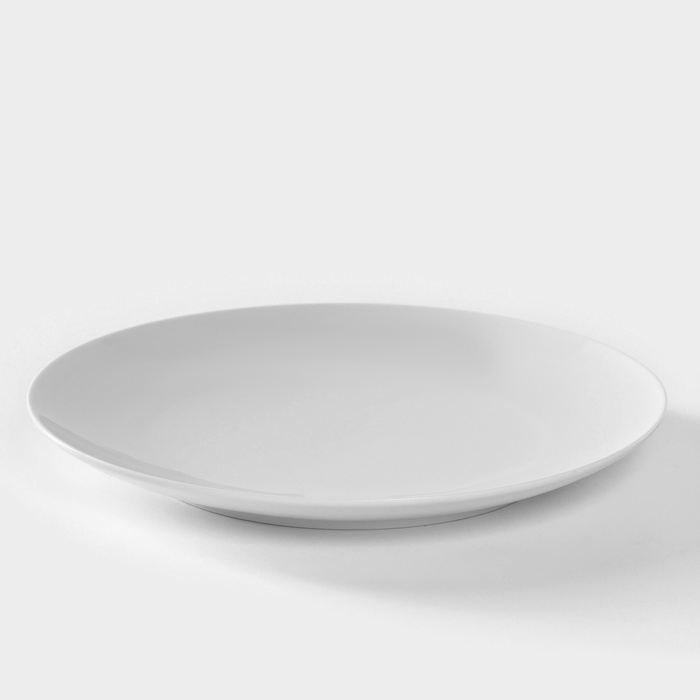 Тарелка фарфоровая «Универсал», d=24 см, белая - Фото 1