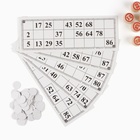 Лото Русское, деревянное, настольная игра "Моя семья", с бочонками - фото 25468737