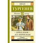 Первая любовь. Тургенев И. С. 3796394 - фото 3577368