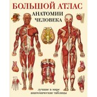 Большой атлас анатомии человека. Махиянова Е. Б. - фото 8700682