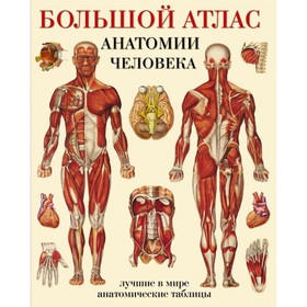 Большой атлас анатомии человека. Махиянова Е. Б.