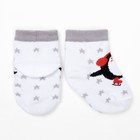 Набор Крошка Я: носки 2шт "Пингвин и Мишка", белый/серый, 8-10 см - Фото 5
