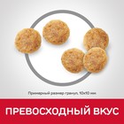 Сухой корм Hill's Science Plan для пожилых кошек (7+), поддержание здоровья, курица, 300 г - Фото 6