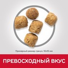 Сухой корм Hill's SP sterilised для стерилизованных кошек, курица, 300 г - Фото 6