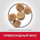 Сухой корм Hill's Science Plan для собак (7+) для поддержания здоровья, курица, 300 г - Фото 8