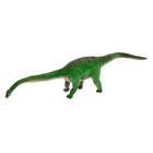 3D пазл «Эра динозавров», 4 вида, МИКС - Фото 3