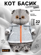 Мягкая игрушка «Кот Басик», в толстовке дракончик, 22 см, МИКС - Фото 1