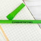 Ручка сувенирная «Башкортостан» - Фото 3