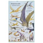 Энциклопедия для малышей с клапанами «Большая книга о больших динозаврах» - Фото 4