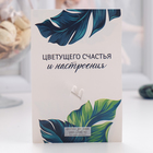 Брошь «Паучки», цвет белый в серебре - Фото 4