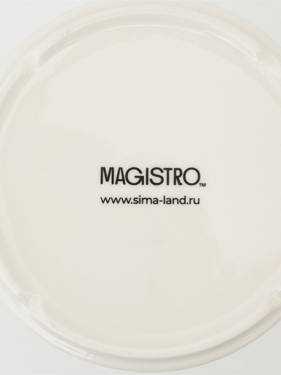 Заварочный чайник Magistro «Морской бриз», 850 мл, фарфор, белый