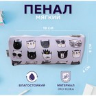 Пенал школьный, искусственная кожа «Следуй за мной» 8×19×4 см - Фото 1