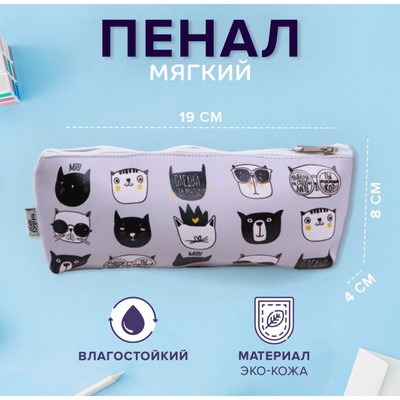 Пенал школьный, искусственная кожа «Следуй за мной» 8×19×4 см