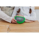 Бутербродница IDEA «Чехол на бутер», 325 мл, 10.5×15×4 см, пластик, салатовая - Фото 5