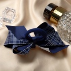 Резинка для волос «Школьница», бант двойная клетка, 9 см, бело-синяя - Фото 4