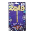 Украшение для торта «2019», хрюшка - Фото 3
