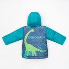 Комплект: куртка и полукомбинезон KAFTAN "Dino" рост 110-116(34), 5-6 лет - Фото 9