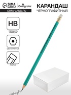 Карандаш чернографитный Calligrata, HB, с ластиком, шестигранный, пластиковый, зелёный корпус - Фото 1