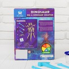 Набор археолога серия динозавры «Диплодок» - Фото 2