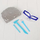 Набор археолога серия динозавры «Диплодок» - Фото 3