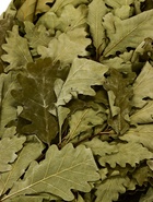 Веник для бани «Элитный», дубовый, 55 см, с обмотанной ручкой, «Добропаровъ» - Фото 4