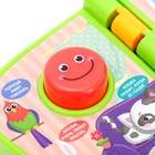 Музыкальная книжка «Домашние животные», звуковые эффекты, работает от батареек - Фото 4