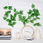 лиана лист винограда огромный 2,4 м - Фото 1