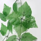 лиана лист винограда огромный 2,4 м - Фото 2