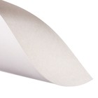 Картон белый А4, 8 листов "Мишки на полюсе", мелованный, целлюлозный, 230 г/м2 - Фото 3
