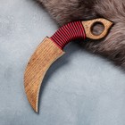 Сувенирное деревянное оружие "Керамбит", 22 см, массив ясеня - фото 8703077