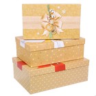 Набор подарочных коробок 3 в 1 «Банты», 25 × 15 × 8,5; 27 × 17,5 × 9,5 ; 30 × 20 × 10,5 см - Фото 1