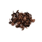 Гвозди ТУНДРА, декоративные, обивочные, 8×15 мм, медь, 500 шт. - Фото 8