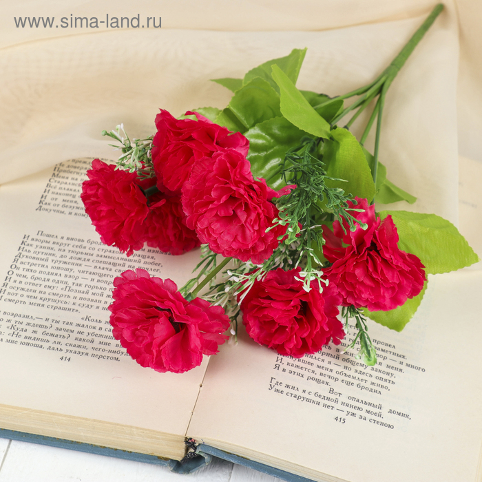 

Букет "Гвоздики" 5х25 см, микс