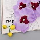Цветок искусственный "Орхидея" 9*60 см, белая с сиреневым - Фото 2
