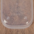 Контейнер пищевой Доляна, 500 мл, цвет бирюзовый - Фото 4