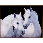 Алмазная мозаика «Пара белых лошадей», 26×20 см, 20 цветов - Фото 1