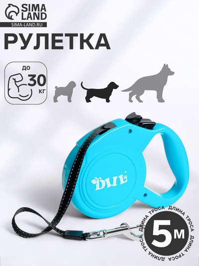 Рулетка DIIL, 5 м, до 30 кг, лента, голубая