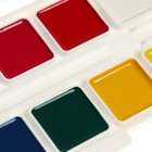 Акварель медовая «Гамма. Классическая», 10 цветов, без кисти, пластик - Фото 3