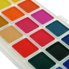 Акварель медовая «Гамма. Классическая», 21 цвет, без кисти, пластик - Фото 6