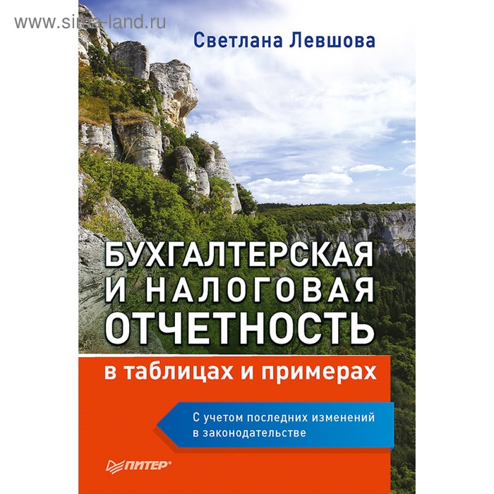 Бухгалтерская и налоговая отчётность в таблицах и примерах (с учётом последних изменений). Левшова С. А. - Фото 1