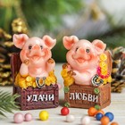 Сувенир полистоун "Хрюшка с пожеланием" МИКС 6х4х3,5 см - Фото 2