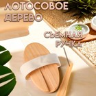 Щётка массажная для тела, из натуральной щетины, с ручкой, гладкая - Фото 2
