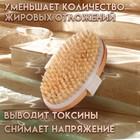 Щётка массажная для тела, из натуральной щетины, гладкая - Фото 3