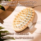 Щётка массажная для тела, гладкая - Фото 2